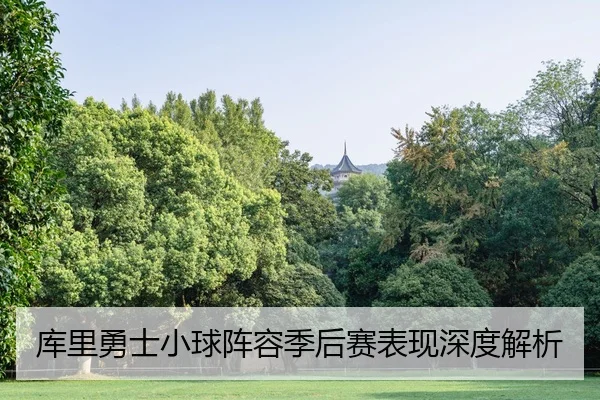 库里勇士小球阵容季后赛表现深度解析